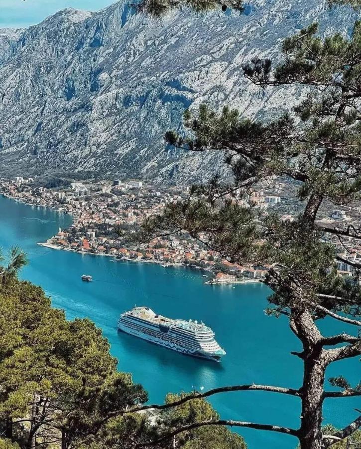 Lana Sea View Apartment Kotor Dış mekan fotoğraf